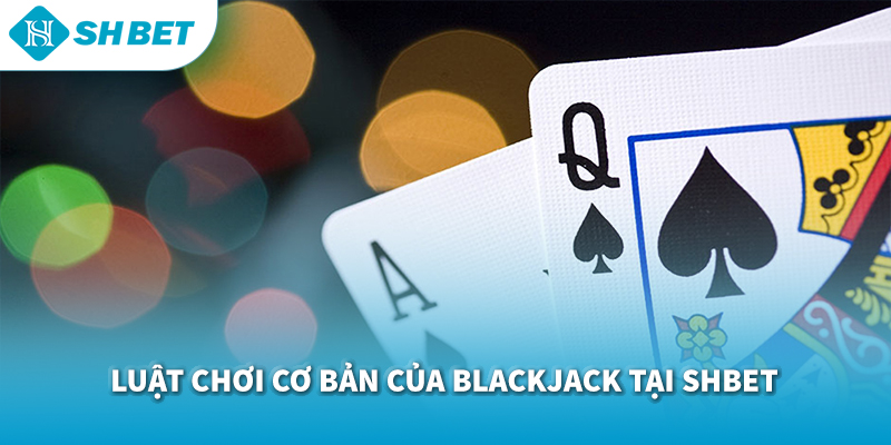 Chương trình VIP SHBET – Trải Nghiệm Đỉnh Cao Ưu Đãi Đặc Quyền hấp dẫn nhất thị trường cá cược trực tuyến